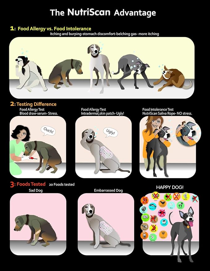 2 month old gsd puppy