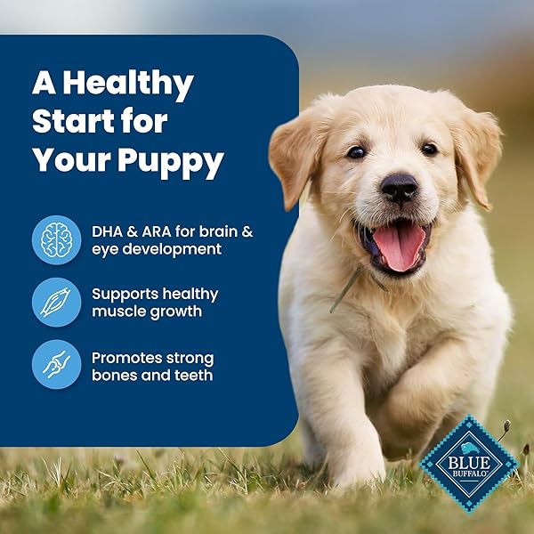 BLUE BUFFALO LIFE PROTECTION FORMULA PUPPY DRY DOG FOOD WITH DHA AND ARA, MADE WITH NATURAL INGREDIENTS, CHICKEN & BROWN RICE RECIPE, 5-LB BAG