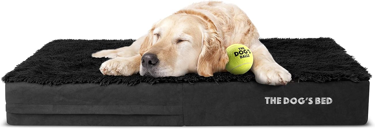 the dogs balls dog bed