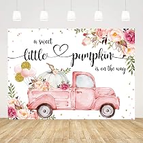 Amazon.com : Ticuenicoa 5x3ft A Little Sweet Pumpkin is On The Way ...