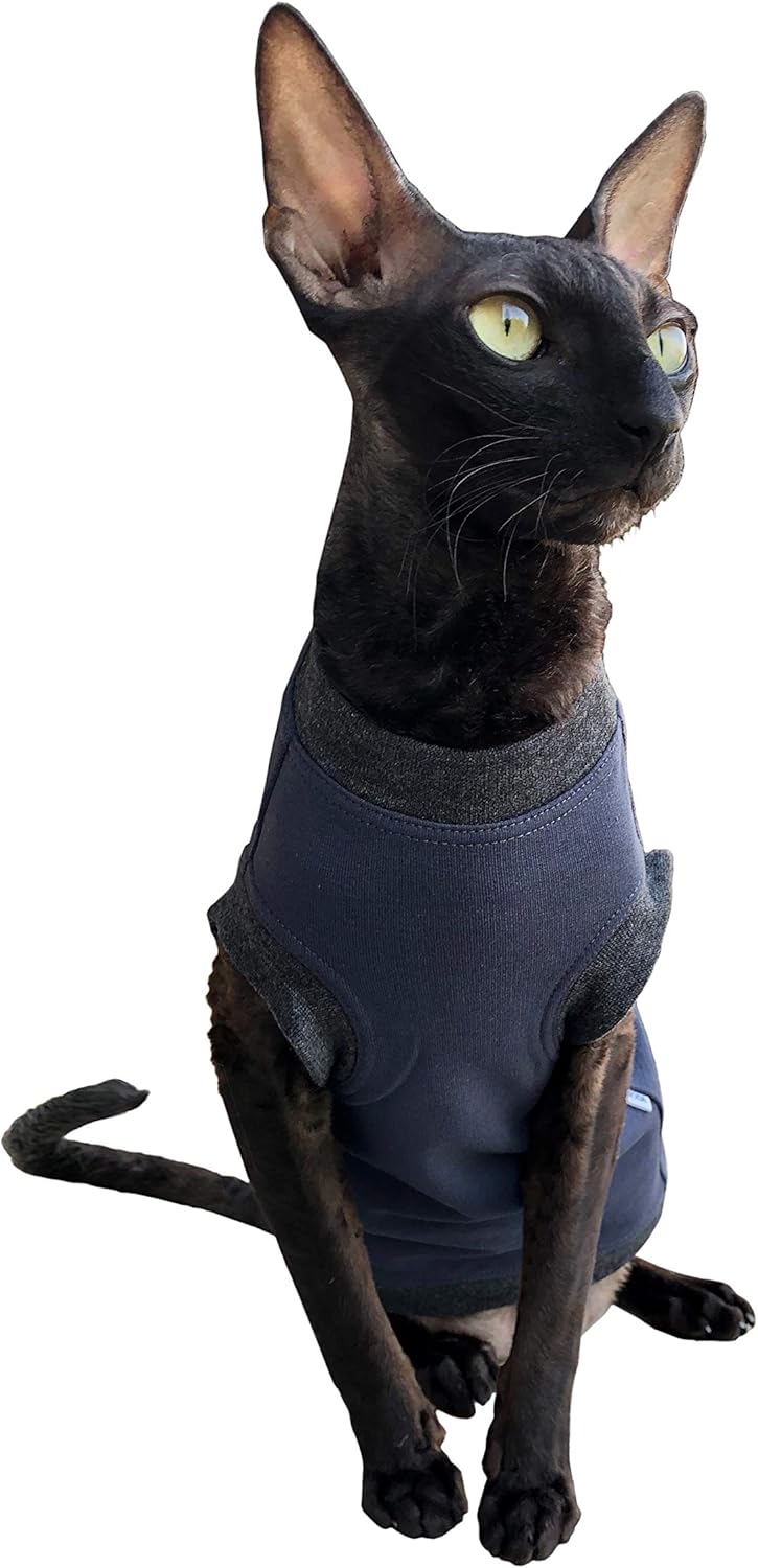 pet supplies for cats