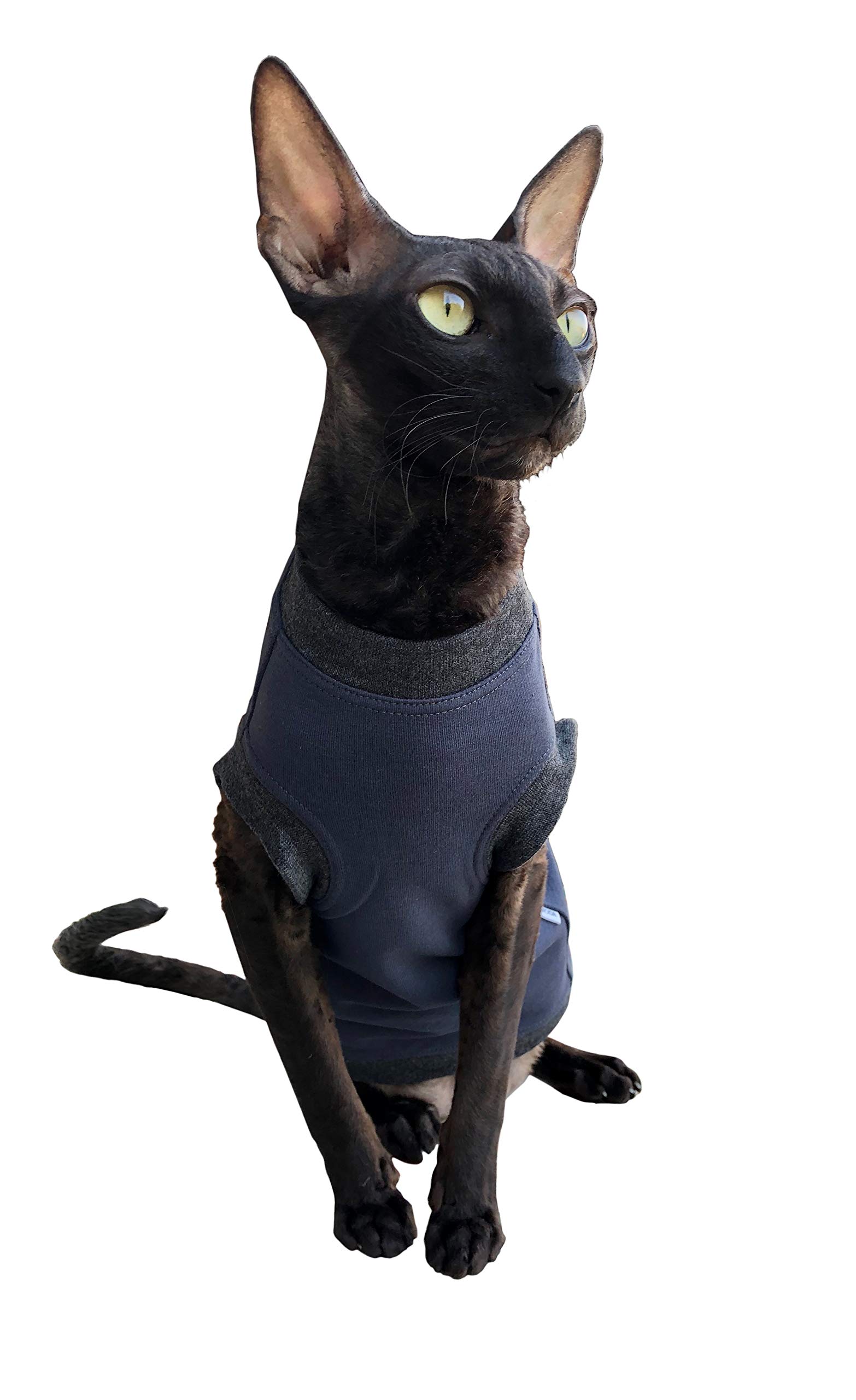 Kotomoda cat wear turtleneck Dark Blue Boss (XL)