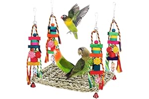 Bird Foraging Wall Toy, Seagrass Woven Hammock Swing Mat with Colorful Wooden Chewing Toys for Lovebirds, Parakeets, Conure, 