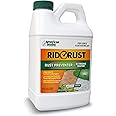 Rid-O-Rust Outdoor Rust Preventer, Extreme Water, Prevents Rust Stains Caused by Irrigation, 64 Ounce Bottle