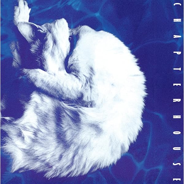 Chapterhouse(チャプターハウス) / Rownderbowt Chapterhouse(チャプターハウス) / Rownderbowt 【公式通販】