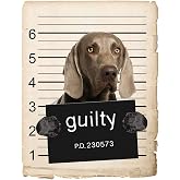 Weimaraner Dog Mugshot Magnet 4x7 in &ndash; Fun and Playful Decor for Refrigerator, Office, Locker, or Car Bumper &ndash; Durable and Weather-Resistant &ndash; Ideal Gift for Dog Lovers and Unique Decor Enthusiasts