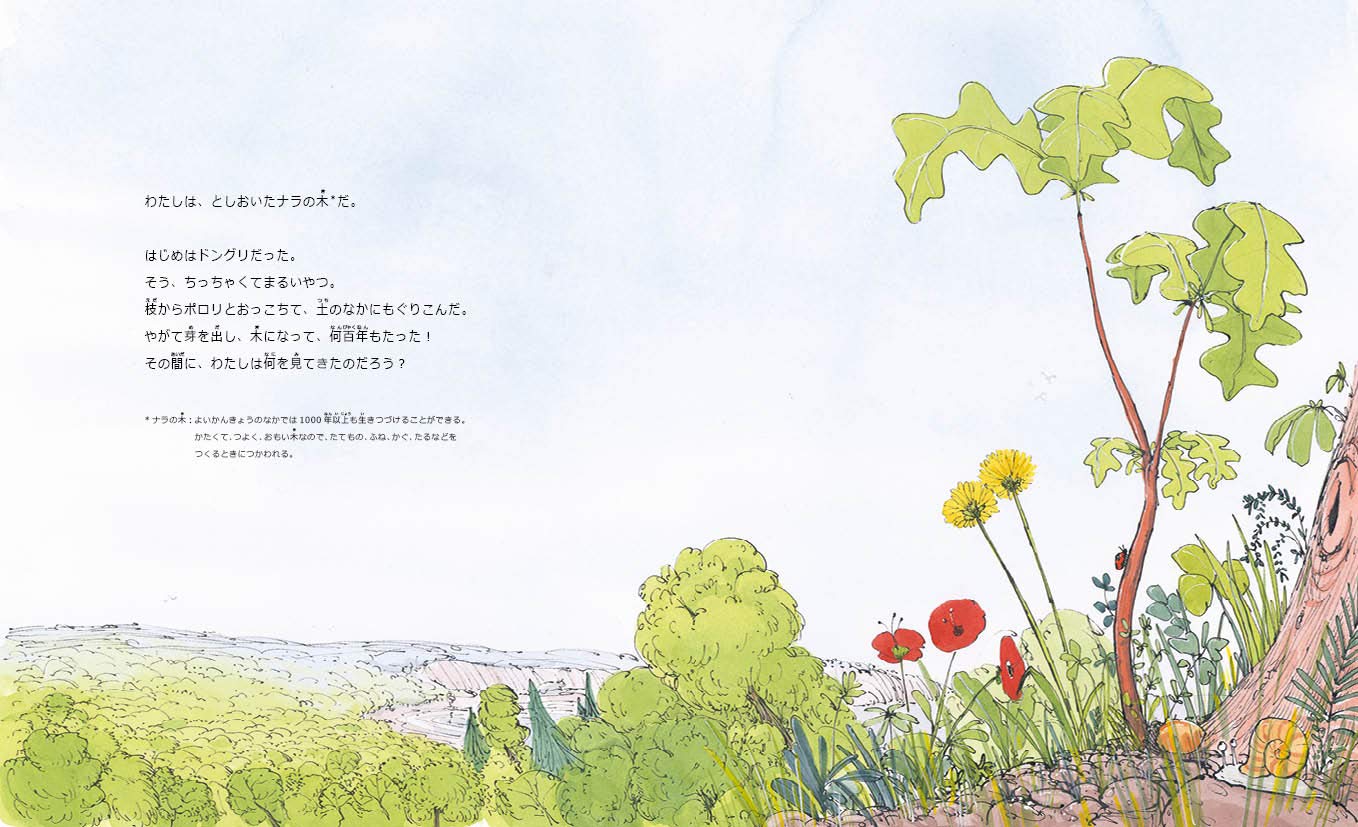 木は何を見てきたの シャーロット ギラン サム アッシャー 高部 圭司 本 通販 Amazon