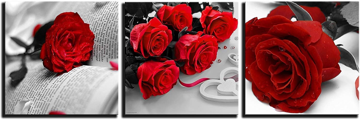 NAN Wind 3 Pcs Black White with Red Wall Art Red Rose Wall Decor Abstract Decorations Flower Picture on Canvas for Home Decor Stretched and Framed 12X12inches