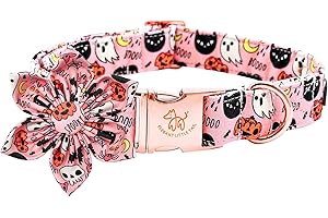 Elegant little tail Dog Collar with Flower, Fall Dog Collar Halloween Pumpkin Flower Collar Dog Girl Pet Collar Pet Collars for Medium Dogs