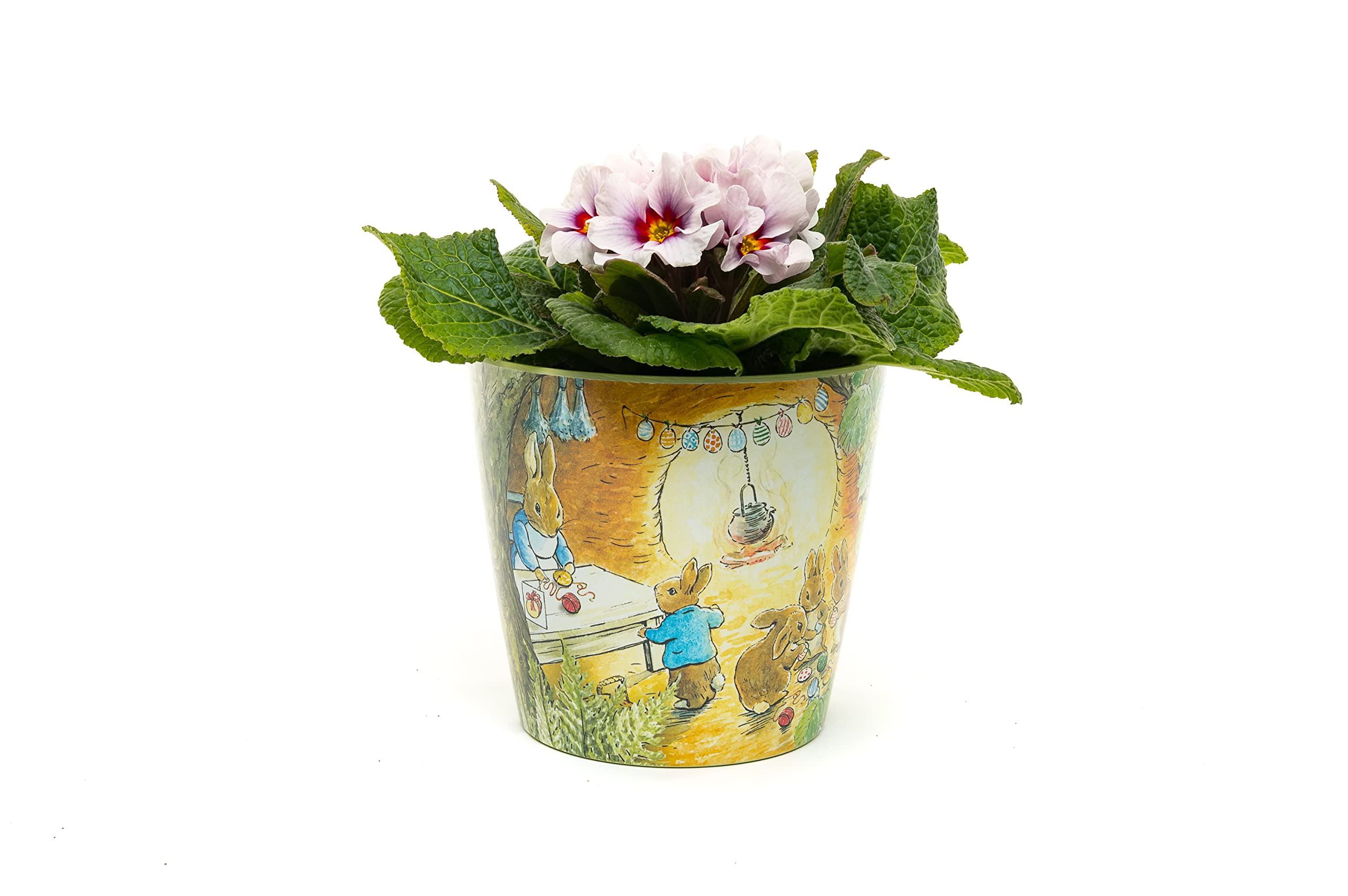 Beatrix Potter Peter Rabbit Eco Pots Set 2 - Beatrix Potter - Peter & Mrs Rabbit At Home, Tom Kitten & Jeremy Fisher pots as a SET of 3