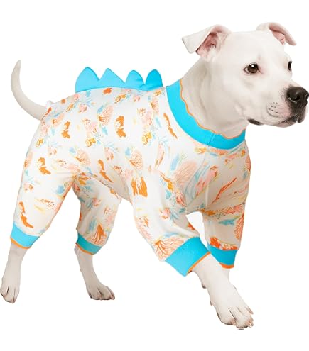 Petitebella Pumpkin Face Hundeshirt – Lustiges Kürbis-Gesicht, Für Kleine Bis Große Hunde, Verschiedene Größen