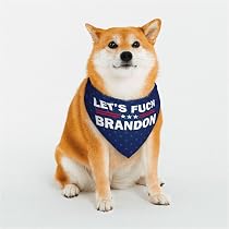 Amazon.com : Let's Fuck Brandon Gifts for Women Men - Christmas ...