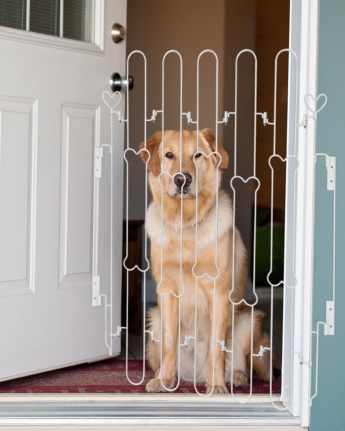 Photo 1 of Portable Foldable Pet Gate for Front Doors Durable Retractable Dog Fence with Easy Setup for Puppy Training Enhancing Home Safety and Security with Bone Style Design- Silver