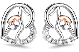 SOLOLIKE Hypoallergenic Hummingbird/Cat/Fox Tassel Threader Earrings Snake Dangle Earrings for Women 925 Sterling Silver Cute Animal Drop Earrings Jewelry Gifts for Sensitive Ears