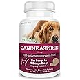 Vetality Canine Aspirin for Dogs | Fast Pain Relief | Large to X-Large Dogs | Liver Flavor | 120 Chewable Tablets