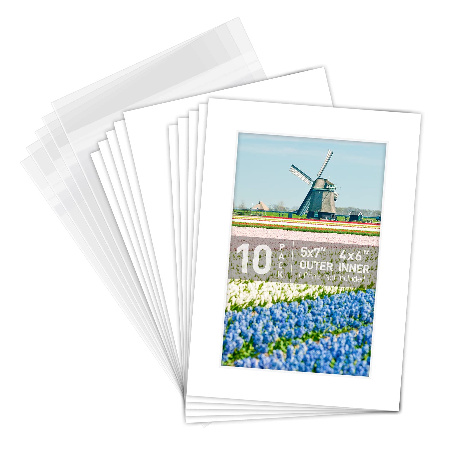 Golden State Art, Acid Free, Pack of 10 5x7 White Picture Mats Mattes with White Core Bevel Cut for 4x6 Photo + Backing + Bags
