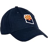 Ann Arbor T-shirt Co. American 50 States Pride Flag Baseball Low Profile Dad Hat for Men Women