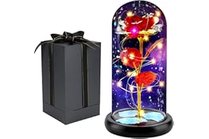 FAYODO Beauty and The Beast Rose, Galaxy Rose Flower Gift for Girlfriend, Rose in A Glass Dome with LED Light, Gift for Mom on Mother’s Day Birthday Valentines Anniversary