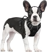 rabbitgoo Small Dog Harness No Pull with 2 Leash Clips Reflective Adjustable