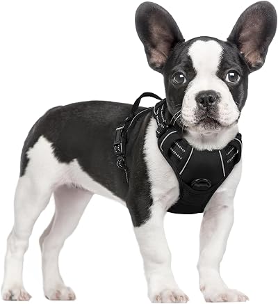 rabbitgoo Small Dog Harness No Pull with 2 Leash Clips Reflective Adjustable