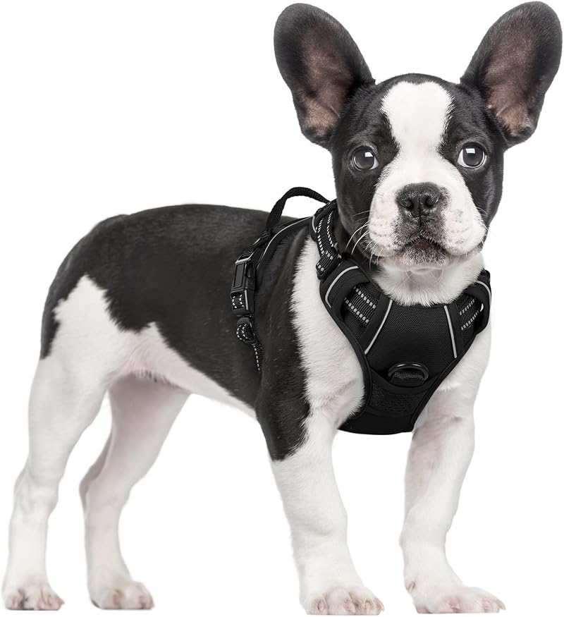 rabbitgoo Small Dog Harness No Pull with 2 Leash Clips Reflective Adjustable