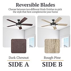 Prominence Home 51649-01 Lorelai Smart Ceiling Fan