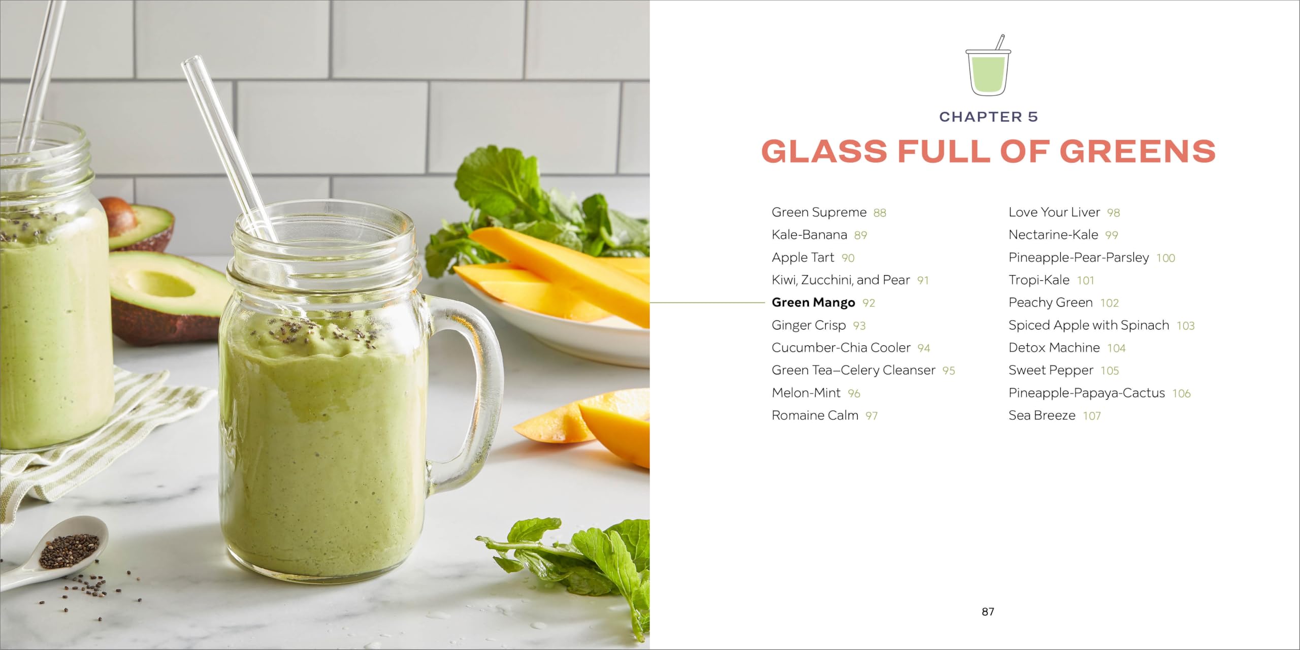 5-Ingredient Smoothie Recipe Book: 100 Nutrient-Packed Smoothies