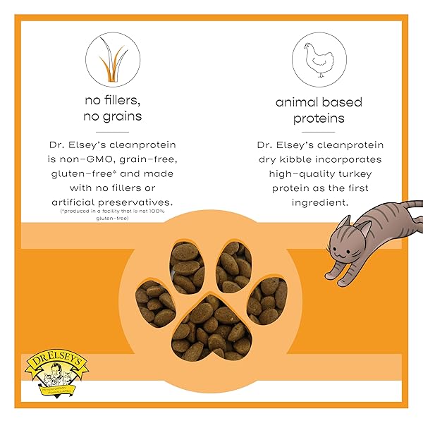 DR. ELSEY’S CLEANPROTEIN PROTEIN BITES TURKEY 6 OZ.