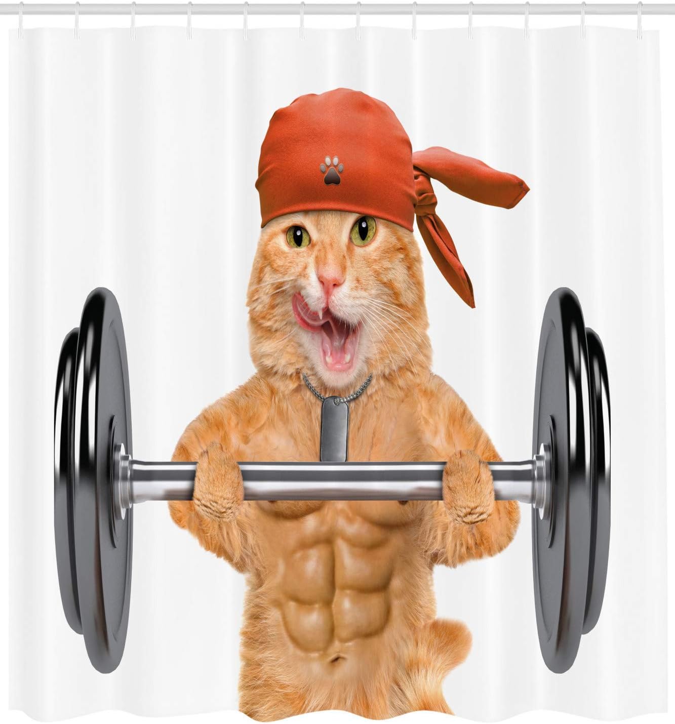Nyngei Rideau De Drole De Fitness Chat Soulevant Un Gros Haltere Muscle Kitty Body Building Gym Humour Image Decor Des Set Avecs Sand Brown Grey Amazon Fr Cuisine Maison