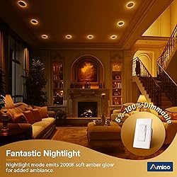 Amico 24 Pack 4 Inch 5CCT LED Recessed Ceiling