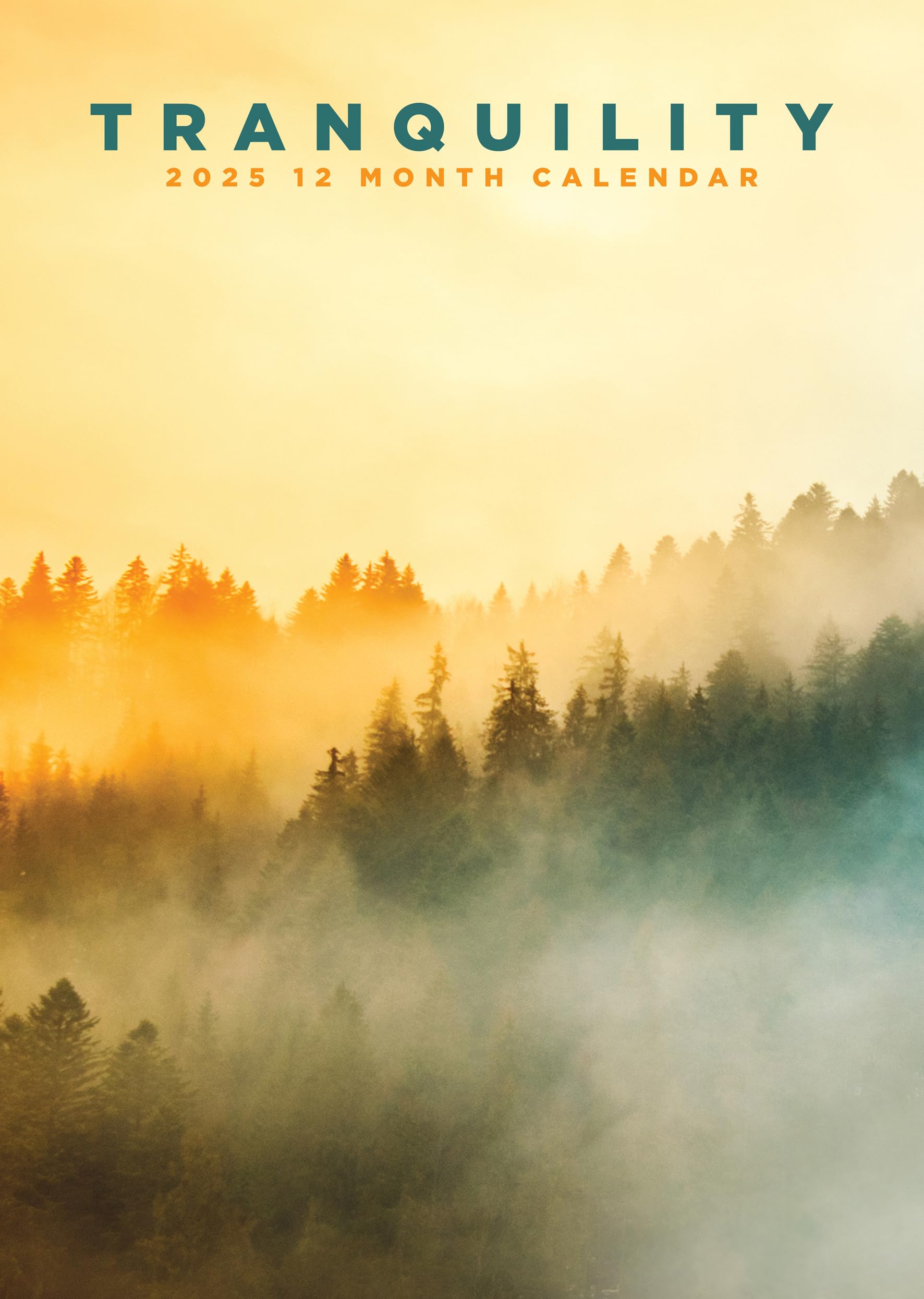 Tranquility 2025 - A3 Size Wirobound Calendar