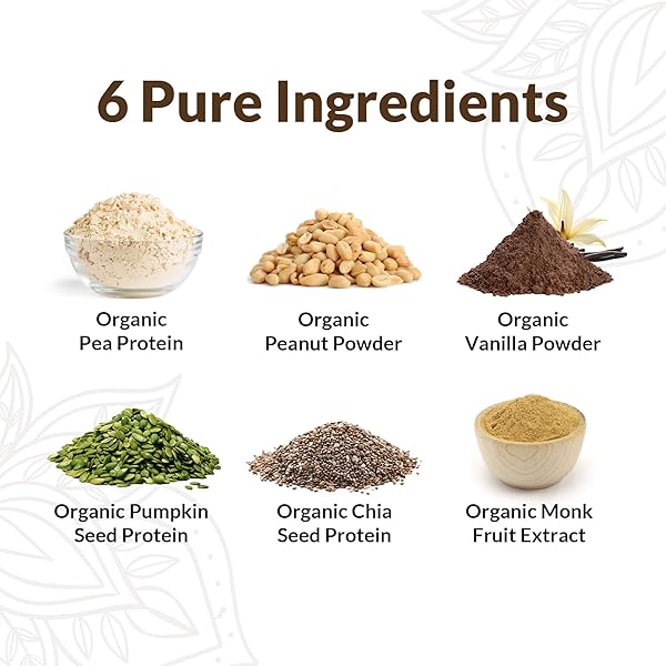 NUTRAPULSE PEANUT BUTTER VEGAN PROTEIN POWDER SAMPLE PACK – 20G ORGANIC PLANT-BASED PROTEIN GLUTEN-FREE, DAIRY-FREE, NON-GMO, SOY-FREE – SMOOTHIE & BAKING FRIENDLY – CLEAN 8 SERVINGS
