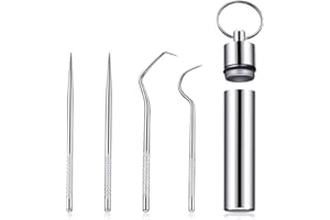 Portable Titanium Toothpicks Pocket Set Reusable Metal Stainless Steel Toothpicks with Holder for Outdoor Picnic and Camping 