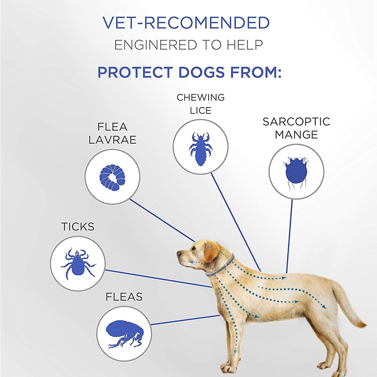 Reviews Flea and Tick Collar for Dogs Enhanced with Natural Essential