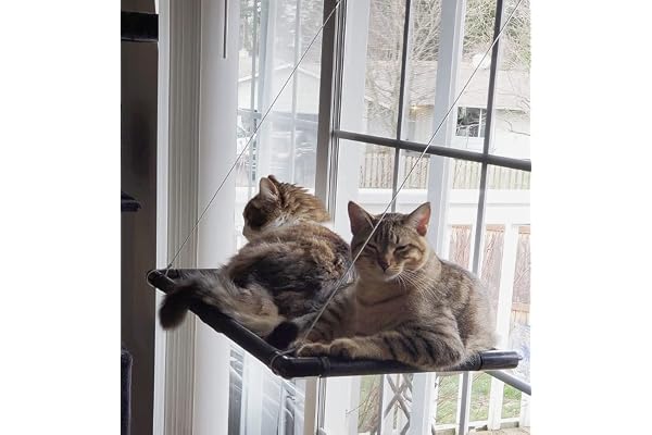 Dracarys Cat Hammock Window Bed Cat Window Perch Sunny Seat, for Kitty Resting Pet Bed, Hold up 40 lbs, Suitable for Window L