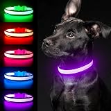 YFbrite Illuminated LED Dog Collar Purple Medium USB Rechargeable Safety Light view 5