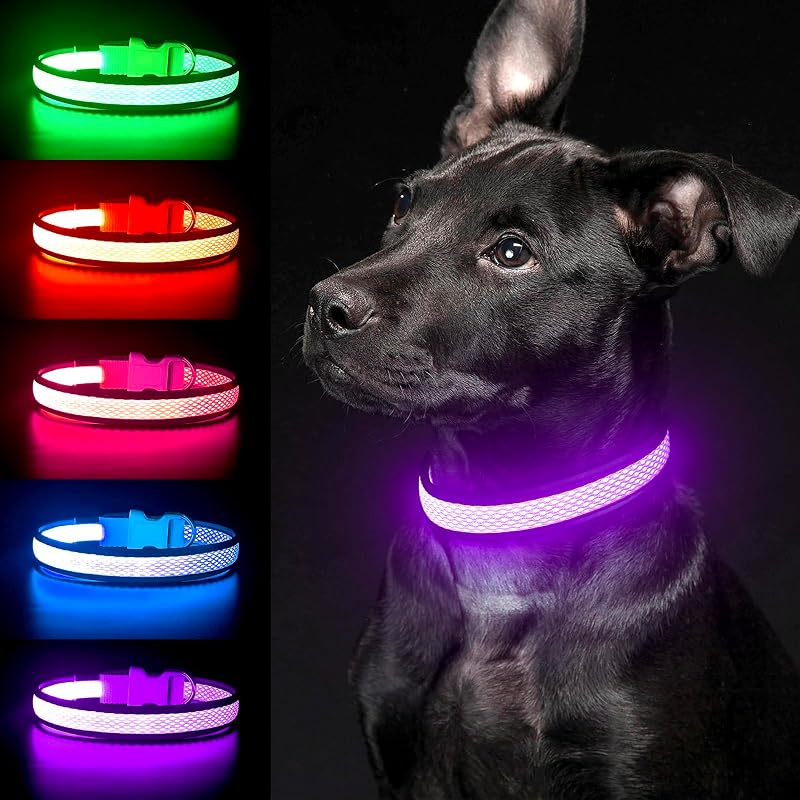 YFbrite Illuminated LED Dog Collar Purple Large USB Rechargeable Safety