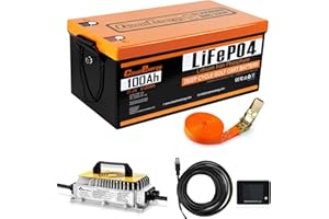 Cloudenergy 48V(51.2V) LiFePO4 Lithium Golf Cart Battery Built-in 200A BMS,with Mobile APP,Touch Monitor and retention strap,6000+ Cycles,Perfect for Golf Carts(GFA48V-100AH With Charger)