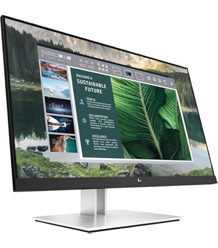 Amazon.com: HP E24 G4 Widescreen LCD Monitor with No Stand