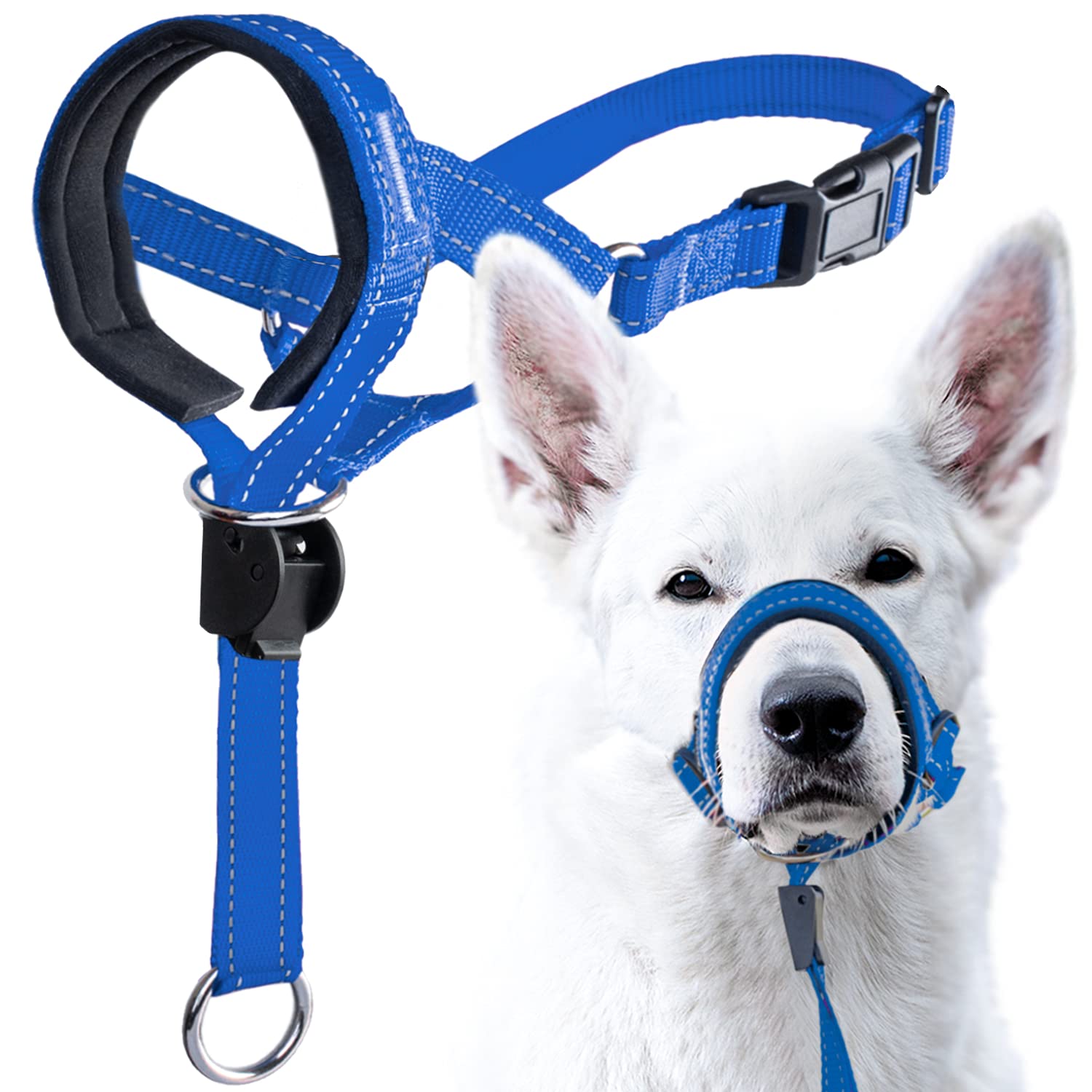 GoodBoy Dog Head Halter with Safety Strap - Stops Heavy Pulling On The Leash - Padded Headcollar for Small Medium and Large Dog Sizes - Head Collar Training Guide Included (Size 1, Blue Nylon)