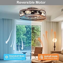 SHLUCE Caged Farmhouse Ceiling Fan with