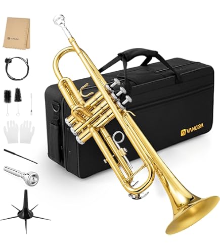 Amazon.com: Hawk WD-T313 Bb Trumpet with Case and Mouthpiece