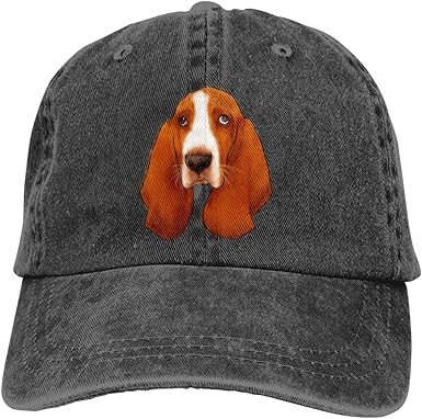 basset hound with cowboy hat