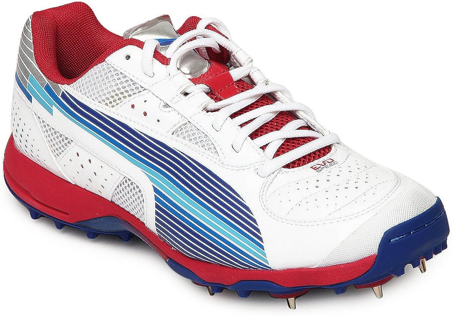 Buy Puma Evospeed Cricket Spike Men at Amazon.in