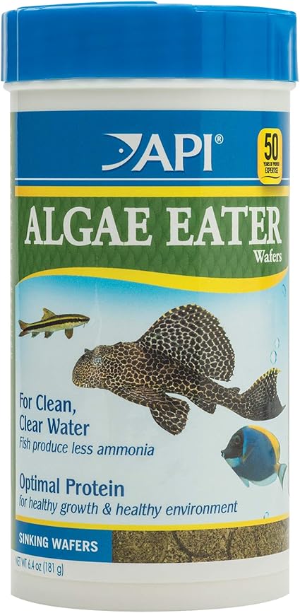 Amazon Com Api Algae Eater Wafers Algae Wafer Fish Food 6 4