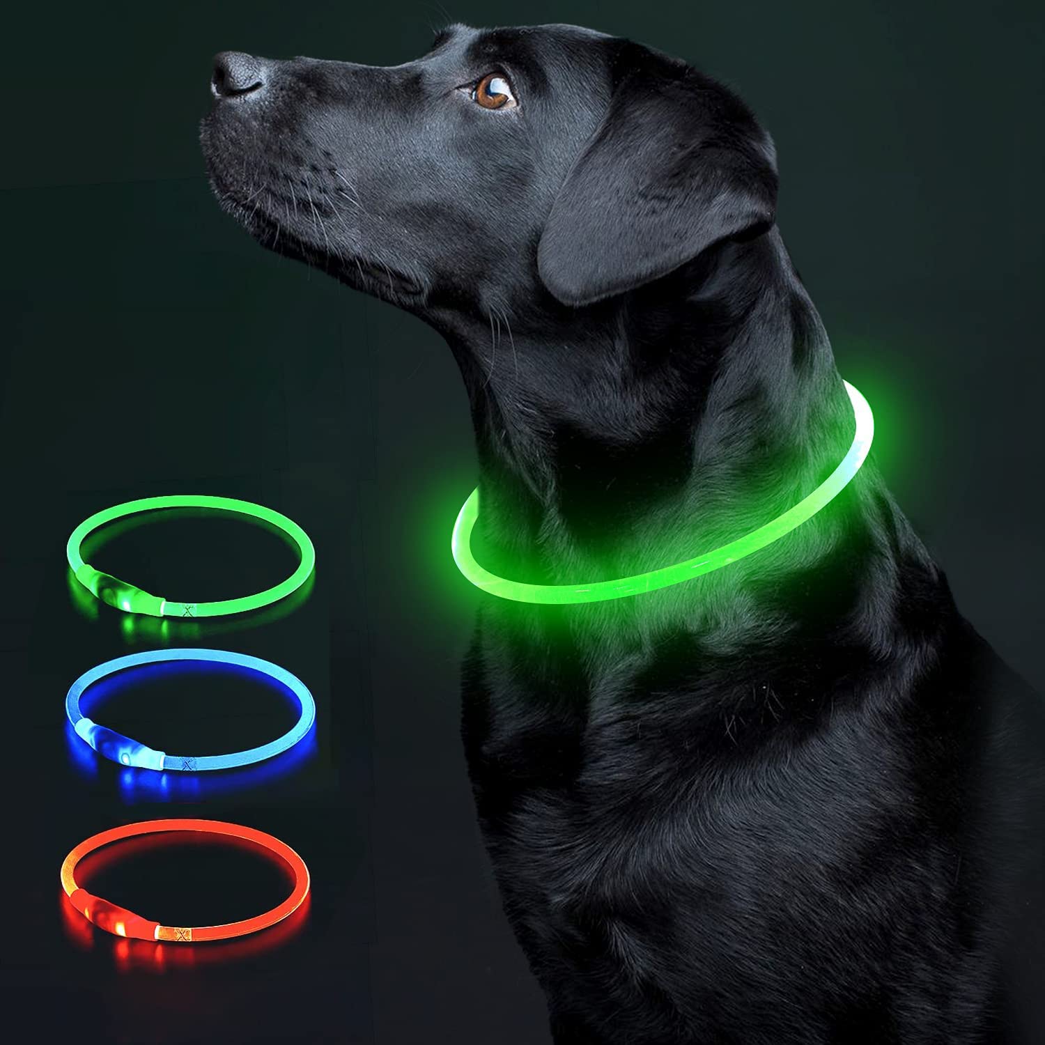 COOL PAWS LED Dog Collar – USB Rechargeable, Adjustable Dog Collar Light, Waterproof & Durable Reflective Light Up Dog Collars for Night with 3 Flashing Modes for Small, Medium & Large Dogs, Green