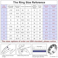 FaithHeart Punk Skull Rings for Men Stainless Steel