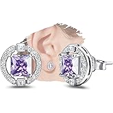 Sterling Silver Earrings Studs Charms Hypoallergenic Jewelry Dainty CZ Fashion Birthday Gift for Women