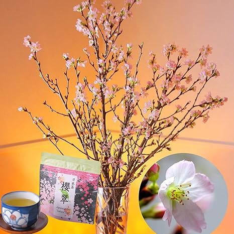 Amazon 花のギフト社 桜 花束 桜茶付 切花 フラワーギフト 生花 花 誕生日 お祝い プレゼント 7本 花束 オンライン通販 Amazon 花のギフト社 桜 花束 桜茶付 切花 フラワーギフト 生花 花 誕生日 お祝い プレゼント 7本 花束 オンライン通販