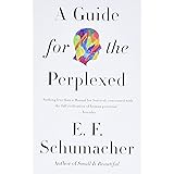 A Guide for the Perplexed (Harper Perennial Modern Thought)